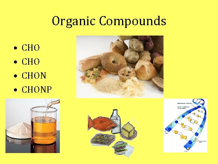 Organic Compounds • • CHO CHONP Organic Compounds • • CHO CHONP