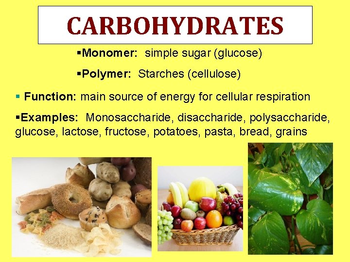 CARBOHYDRATES §Monomer: simple sugar (glucose) §Polymer: Starches (cellulose) § Function: main source of energy CARBOHYDRATES §Monomer: simple sugar (glucose) §Polymer: Starches (cellulose) § Function: main source of energy