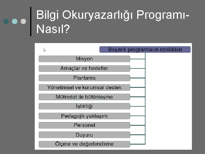 Bilgi Okuryazarlığı ProgramıNasıl? 