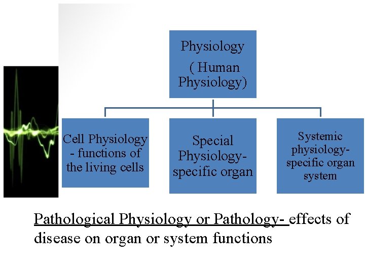 Physiology ( Human Physiology) Cell Physiology - functions of the living cells Special Physiologyspecific