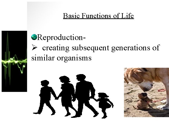 Basic Functions of Life ReproductionØ creating subsequent generations of similar organisms 