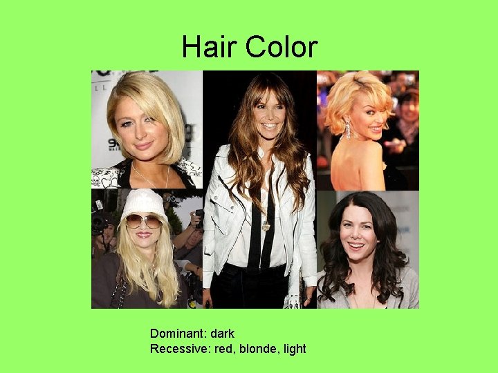 Hair Color Dominant: dark Recessive: red, blonde, light 