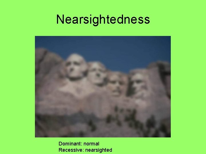 Nearsightedness Dominant: normal Recessive: nearsighted 