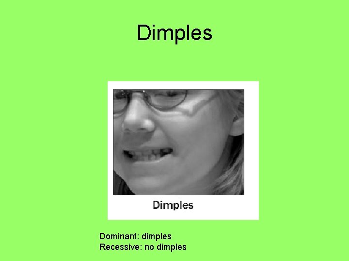 Dimples Dominant: dimples Recessive: no dimples 