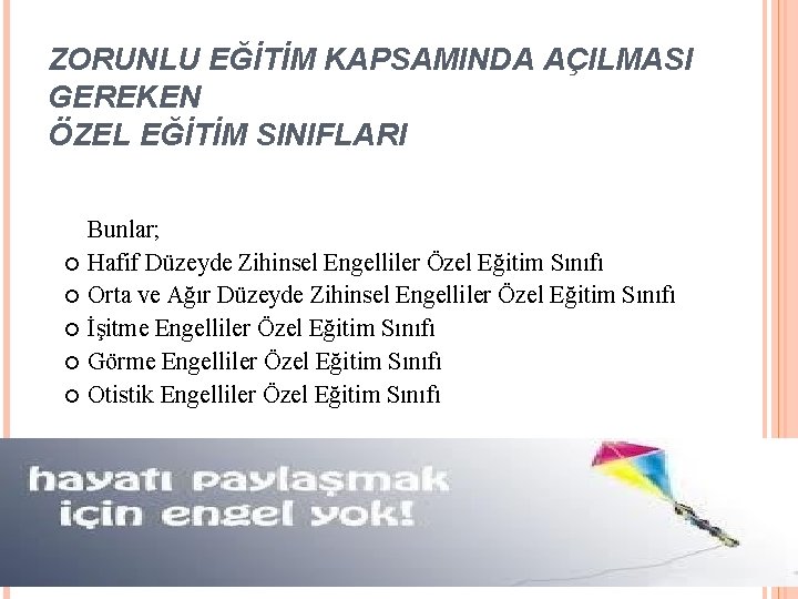 ZORUNLU EĞİTİM KAPSAMINDA AÇILMASI GEREKEN ÖZEL EĞİTİM SINIFLARI Bunlar; Hafif Düzeyde Zihinsel Engelliler Özel