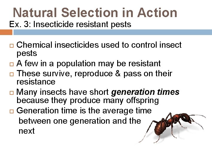 Natural Selection in Action Ex. 3: Insecticide resistant pests Chemical insecticides used to control