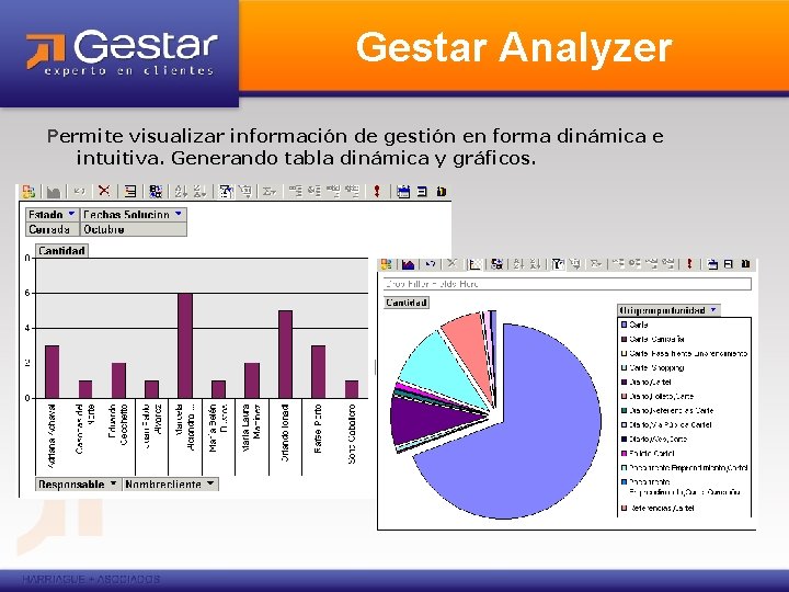 Gestar Analyzer Permite visualizar información de gestión en forma dinámica e intuitiva. Generando tabla