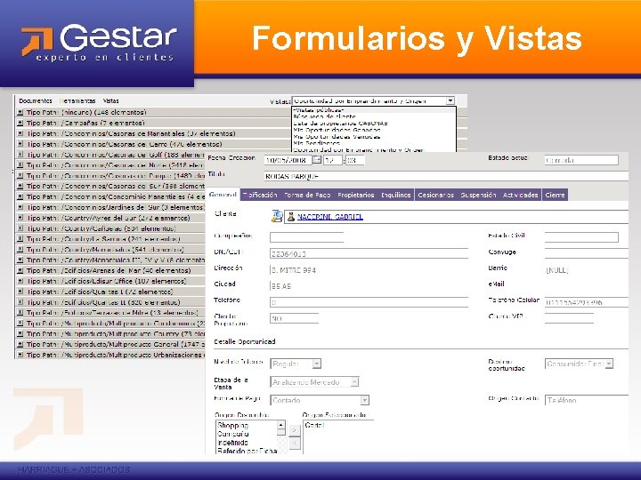 Formularios y Vistas 