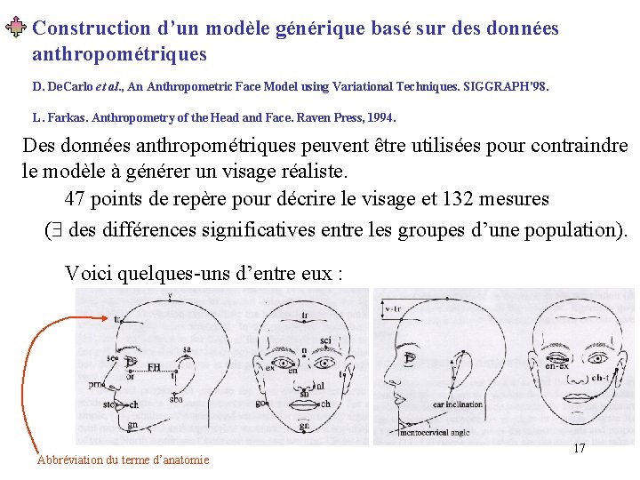 Construction d’un modèle générique basé sur des données anthropométriques D. De. Carlo et al.