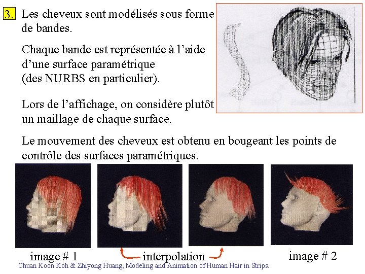 3. Les cheveux sont modélisés sous forme de bandes. Chaque bande est représentée à