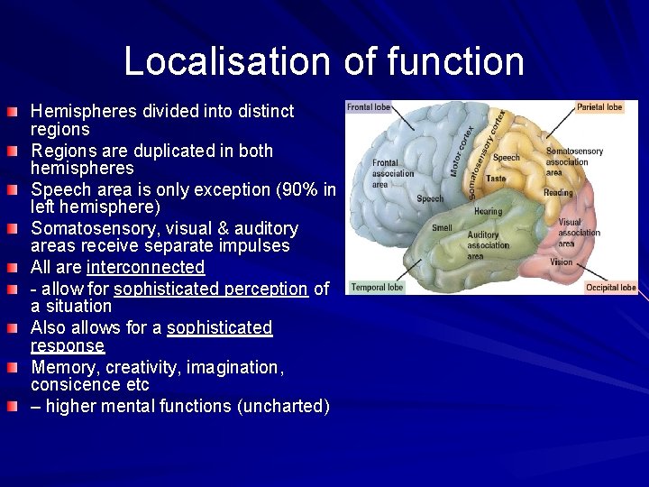 Localisation of function Hemispheres divided into distinct regions Regions are duplicated in both hemispheres