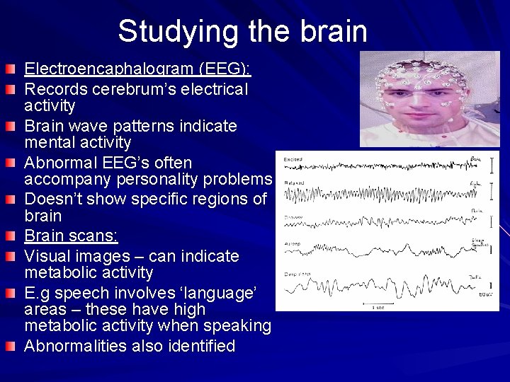 Studying the brain Electroencaphalogram (EEG): Records cerebrum’s electrical activity Brain wave patterns indicate mental