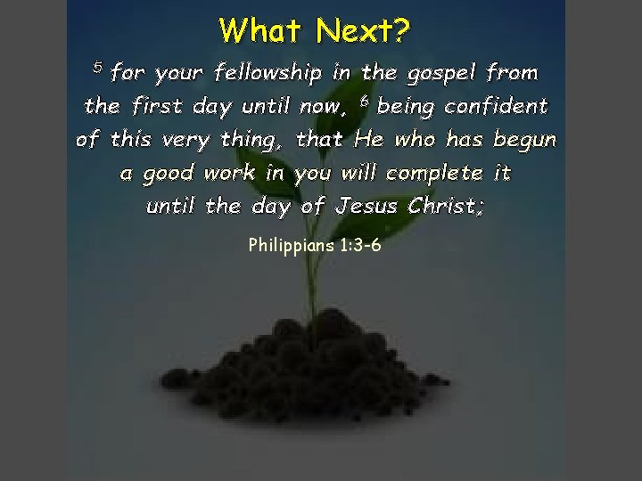 What Next? for your fellowship in the gospel from the first day until now,