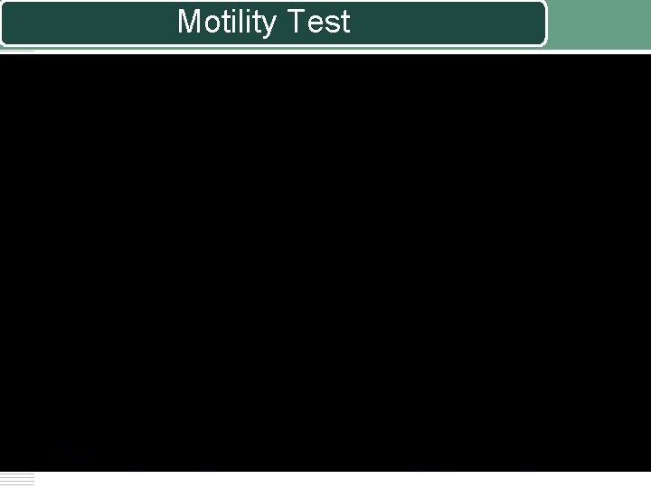 Motility Test 