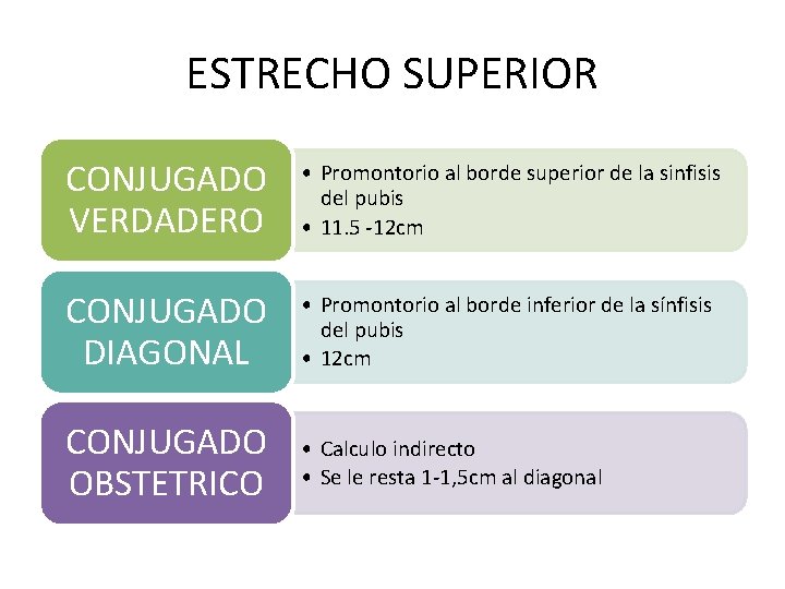 ESTRECHO SUPERIOR CONJUGADO VERDADERO • Promontorio al borde superior de la sinfisis del pubis