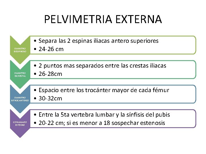 PELVIMETRIA EXTERNA DIAMETRO BIESPINOSO • Separa las 2 espinas iliacas antero superiores • 24