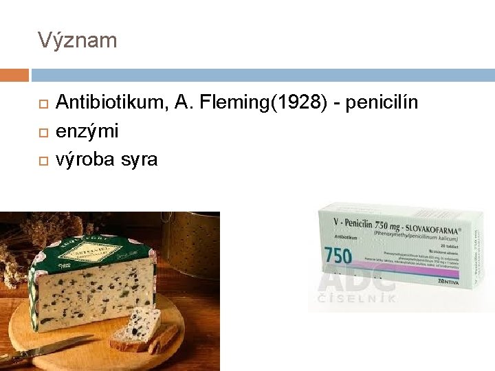 Význam Antibiotikum, A. Fleming(1928) - penicilín enzými výroba syra 