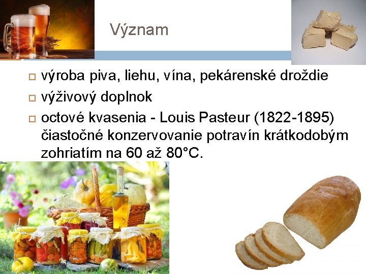 Význam výroba piva, liehu, vína, pekárenské droždie výživový doplnok octové kvasenia - Louis Pasteur
