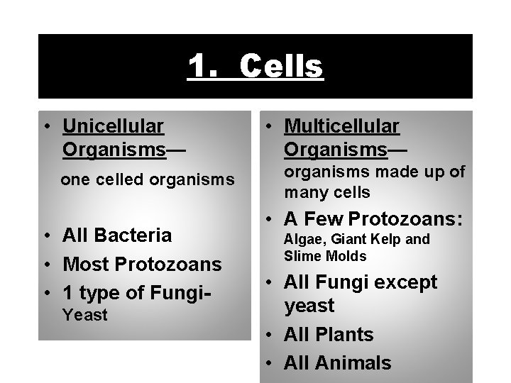 1. Cells • Unicellular Organisms— one celled organisms • All Bacteria • Most Protozoans