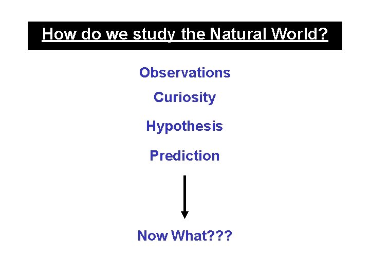 How do we study the Natural World? Observations Curiosity Hypothesis Prediction Now What? ?