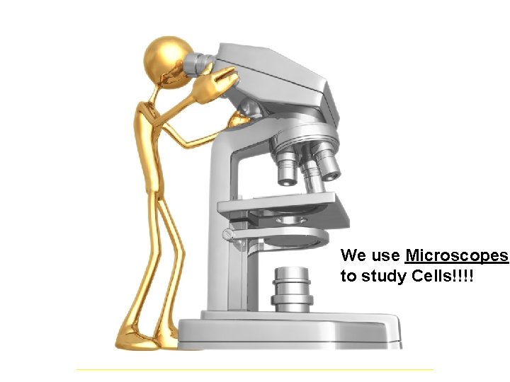 We use Microscopes to study Cells!!!! 