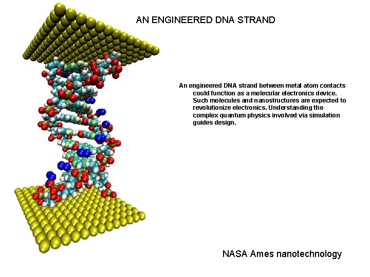 AN ENGINEERED DNA STRAND An engineered DNA strand between metal atom contacts could function