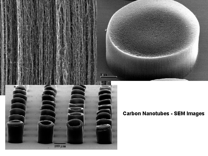 Carbon Nanotubes - SEM Images 