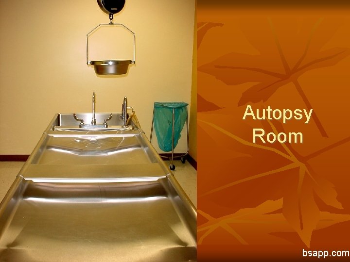 Autopsy Room bsapp. com 
