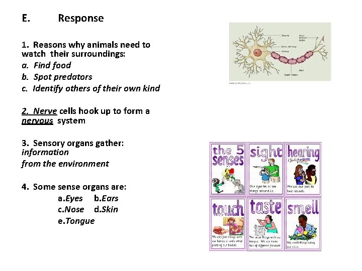 E. Response 1. Reasons why animals need to watch their surroundings: a. Find food
