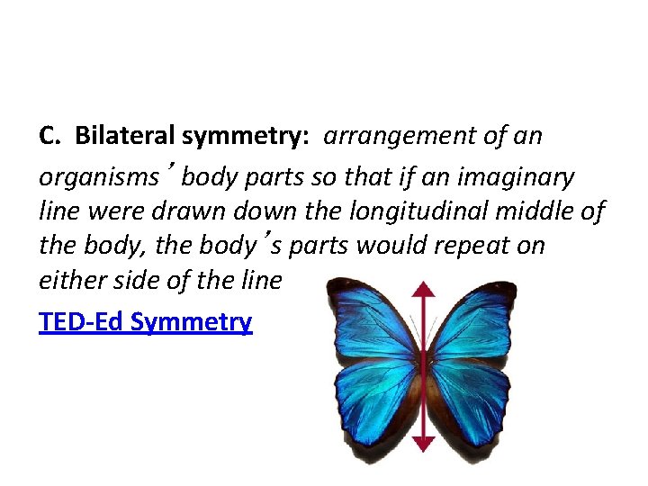 C. Bilateral symmetry: arrangement of an organisms’ body parts so that if an imaginary