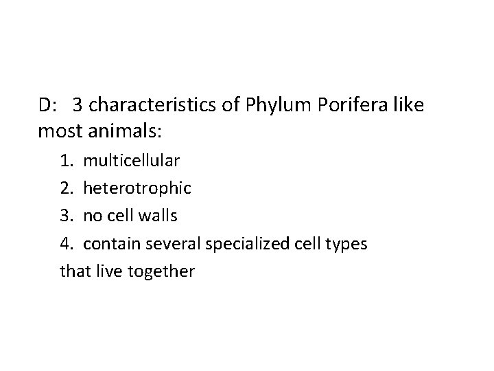 D: 3 characteristics of Phylum Porifera like most animals: 1. multicellular 2. heterotrophic 3.