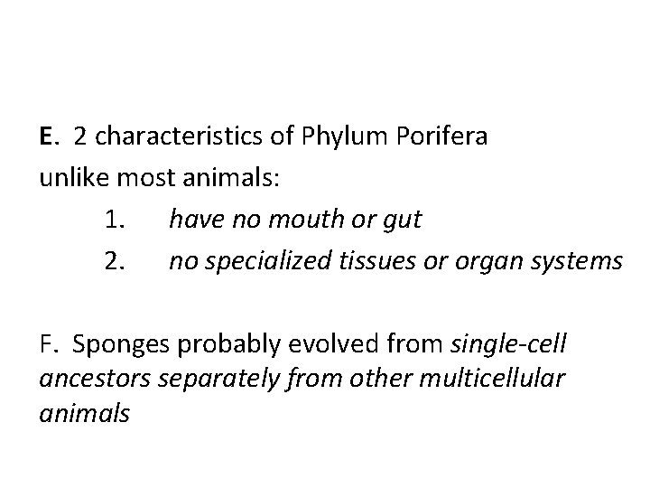 E. 2 characteristics of Phylum Porifera unlike most animals: 1. have no mouth or