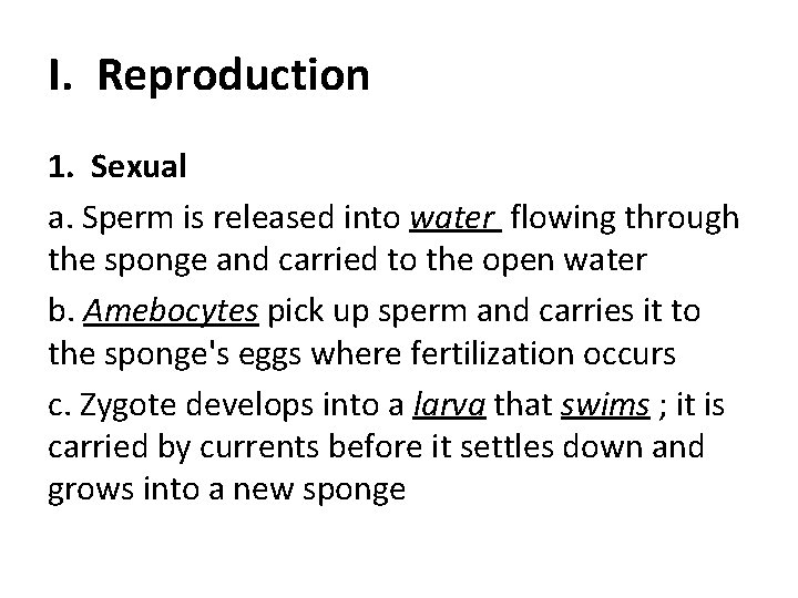 I. Reproduction 1. Sexual a. Sperm is released into water flowing through the sponge