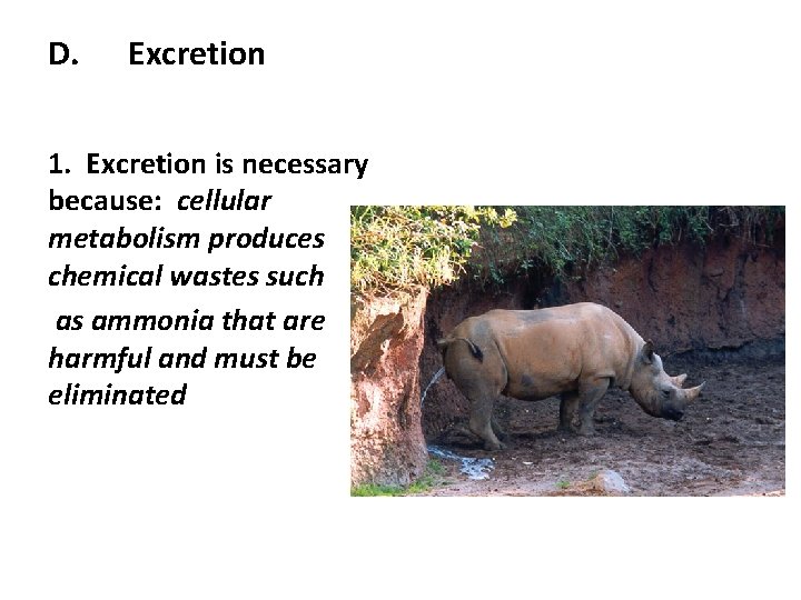 D. Excretion 1. Excretion is necessary because: cellular metabolism produces chemical wastes such as