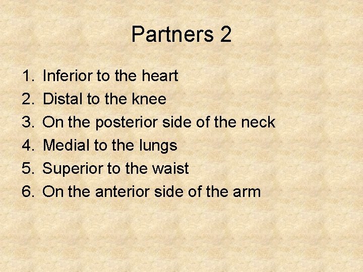 Partners 2 1. 2. 3. 4. 5. 6. Inferior to the heart Distal to