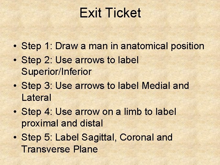 Exit Ticket • Step 1: Draw a man in anatomical position • Step 2: