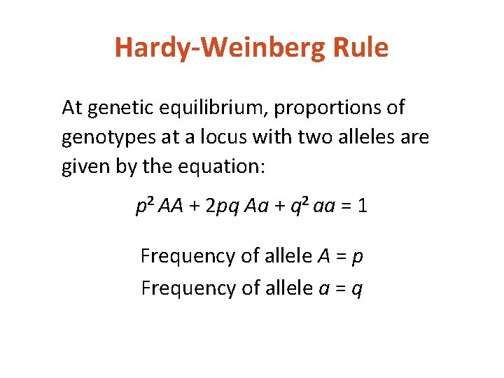 Hardy-Weinberg Rule At genetic equilibrium, proportions of genotypes at a locus with two alleles
