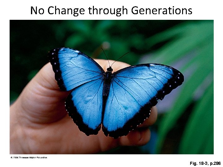 No Change through Generations Fig. 18 -3, p. 286 