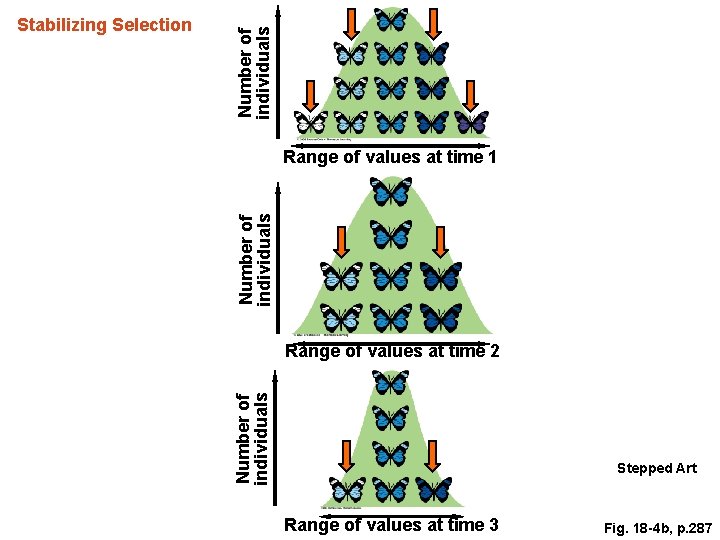 Number of individuals Range of values at time 1 Range of values at time