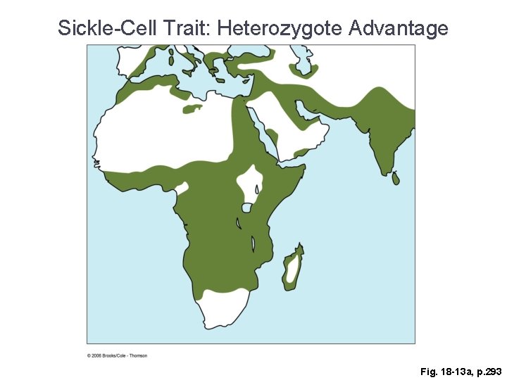 Sickle-Cell Trait: Heterozygote Advantage Fig. 18 -13 a, p. 293 