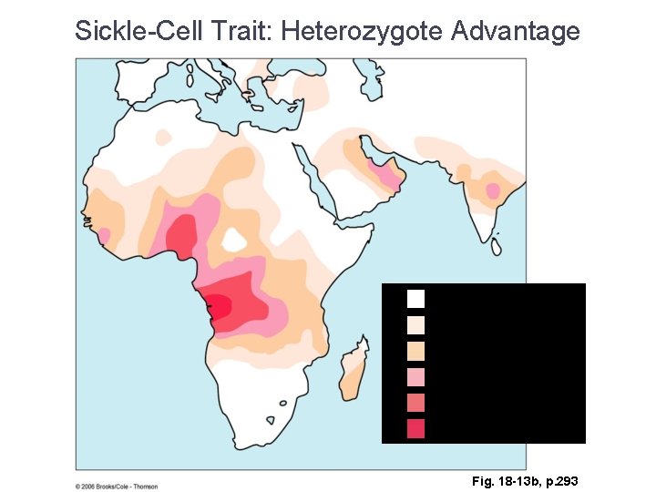 Sickle-Cell Trait: Heterozygote Advantage less than 1 in 1, 600 1 in 400 -1,