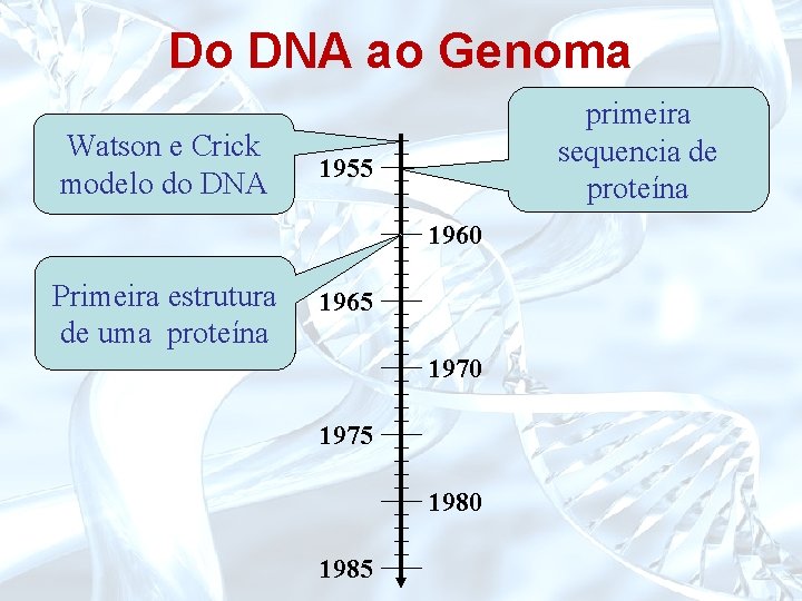 Do DNA ao Genoma Watson e Crick modelo do DNA primeira sequencia de proteína