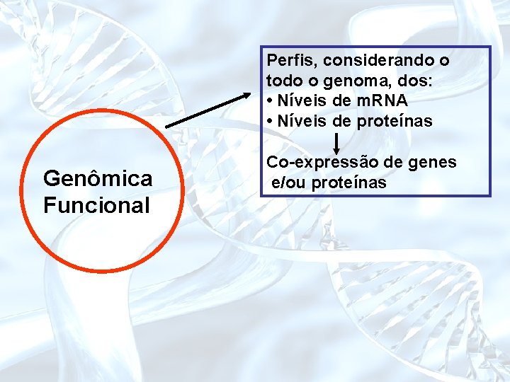 Perfis, considerando o todo o genoma, dos: • Níveis de m. RNA • Níveis