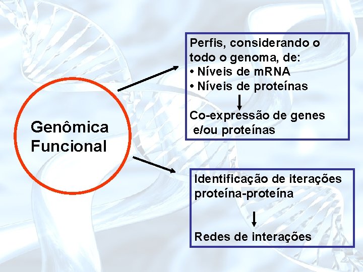 Perfis, considerando o todo o genoma, de: • Níveis de m. RNA • Níveis