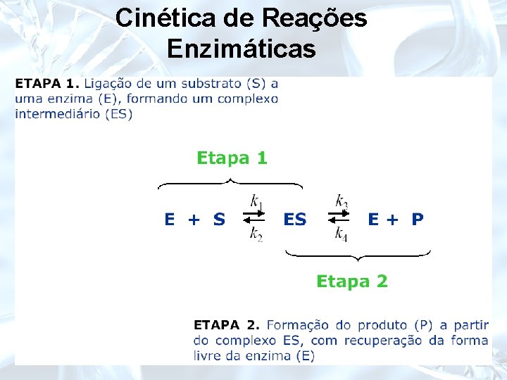 Cinética de Reações Enzimáticas 