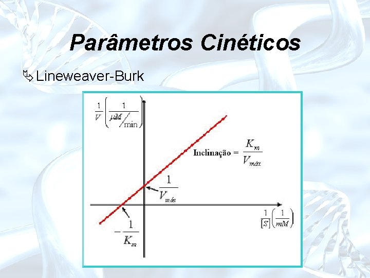 Parâmetros Cinéticos Ä Lineweaver-Burk 