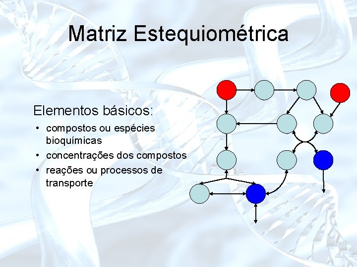 Matriz Estequiométrica Elementos básicos: • compostos ou espécies bioquímicas • concentrações dos compostos •