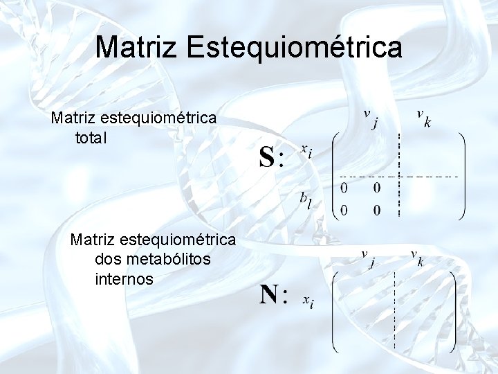 Matriz Estequiométrica Matriz estequiométrica total Matriz estequiométrica dos metabólitos internos 