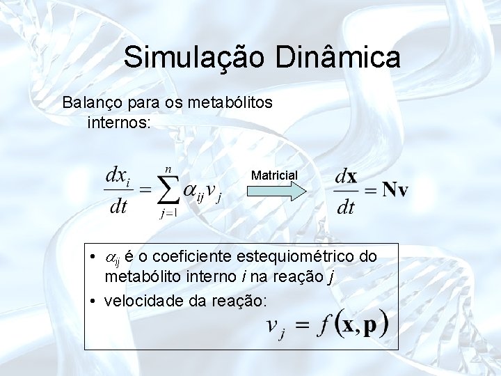 Simulação Dinâmica Balanço para os metabólitos internos: Matricial • ij é o coeficiente estequiométrico