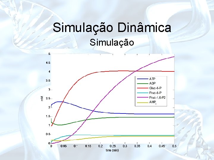 Simulação Dinâmica Simulação 